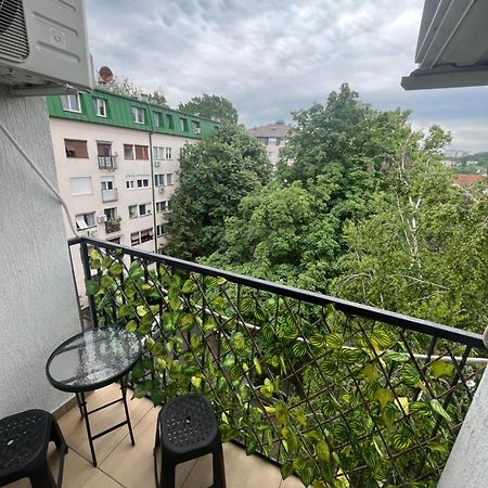 Pavlovic Apartman بلغراد المظهر الخارجي الصورة