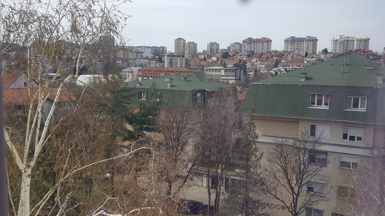 Pavlovic Apartman بلغراد المظهر الخارجي الصورة